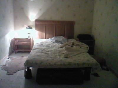 Image de présentation